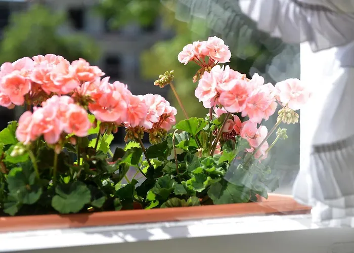 Bezold Vendégház Rothenburg ob der Tauber