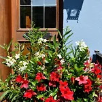 Bezold Rothenburg ob der Tauber