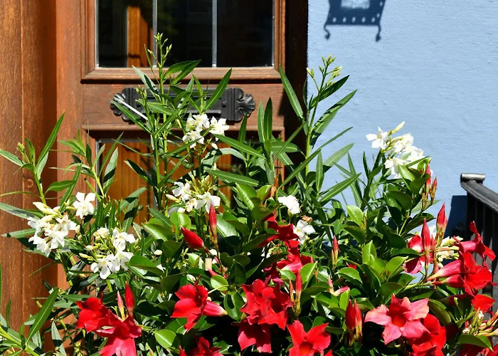 Bezold Rothenburg ob der Tauber